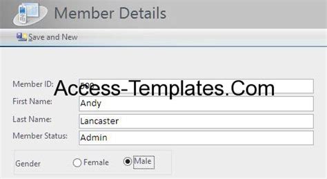 MS Access Option Group Multiple Selection Example Access