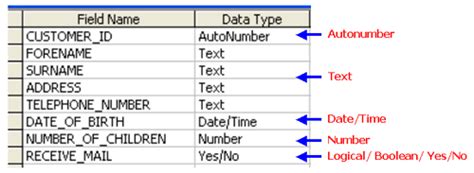Teach ICT GCSE ICT Database Terminology Fields