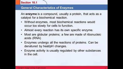 B General Characteristics Of Enzymes YouTube