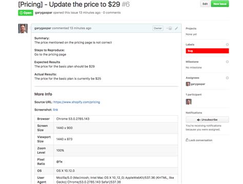 Bug Report Template Examples Software Testing Workflows