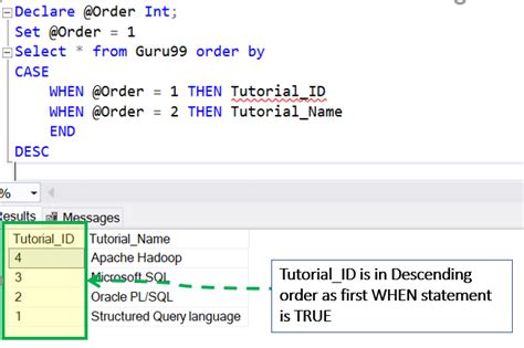 CASE Statement In SQL Server T SQL Example