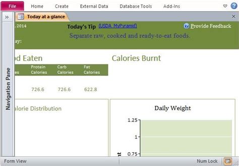 Desktop Nutrition Tracking Database Template For Access