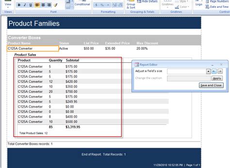Report Builder For Microsoft Access The Better Access