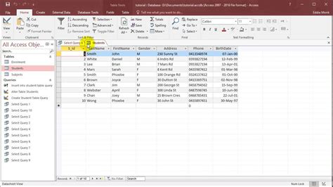 SQL With Microsoft Access Lesson Having Update
