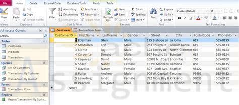 Small Business Jewelry Store Access Database With Form And