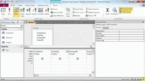 Microsoft Access Tutorial Setting Query Properties