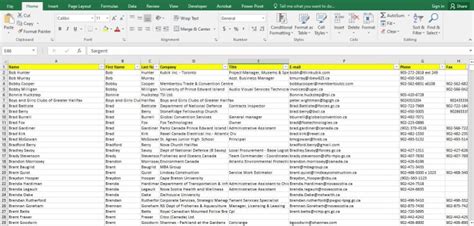 Clean Your Excel Contact Database By Aghaffar