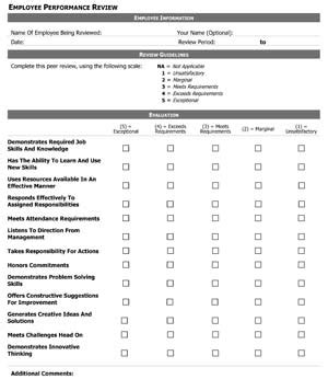 Sample Employee Performance Review Small Business