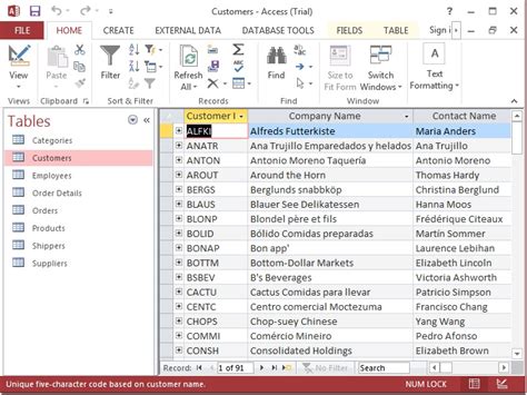Microsoft Access Tutorial Office Training IT