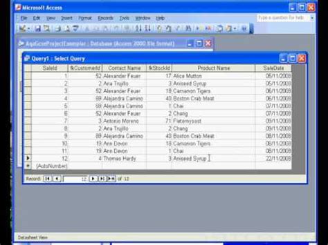 Microsoft Access Sales Invoice Relationships