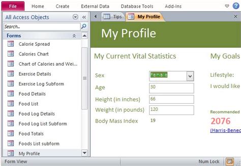 Desktop Nutrition Tracking Database Template For Access