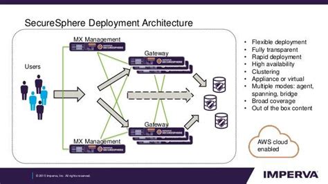 IMPERVA DAM Risks And Rewards For This Software SaaS